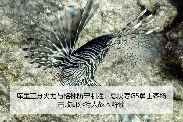 ku-li-san-fen-huo-li-yu-ge-lin-fang-shou-zhi-sheng-zong-jue-sai-yong-shi-ke-chang-ji-bai-kai-er-te-ren-zhan-shu-jie-du-2-593.jpg